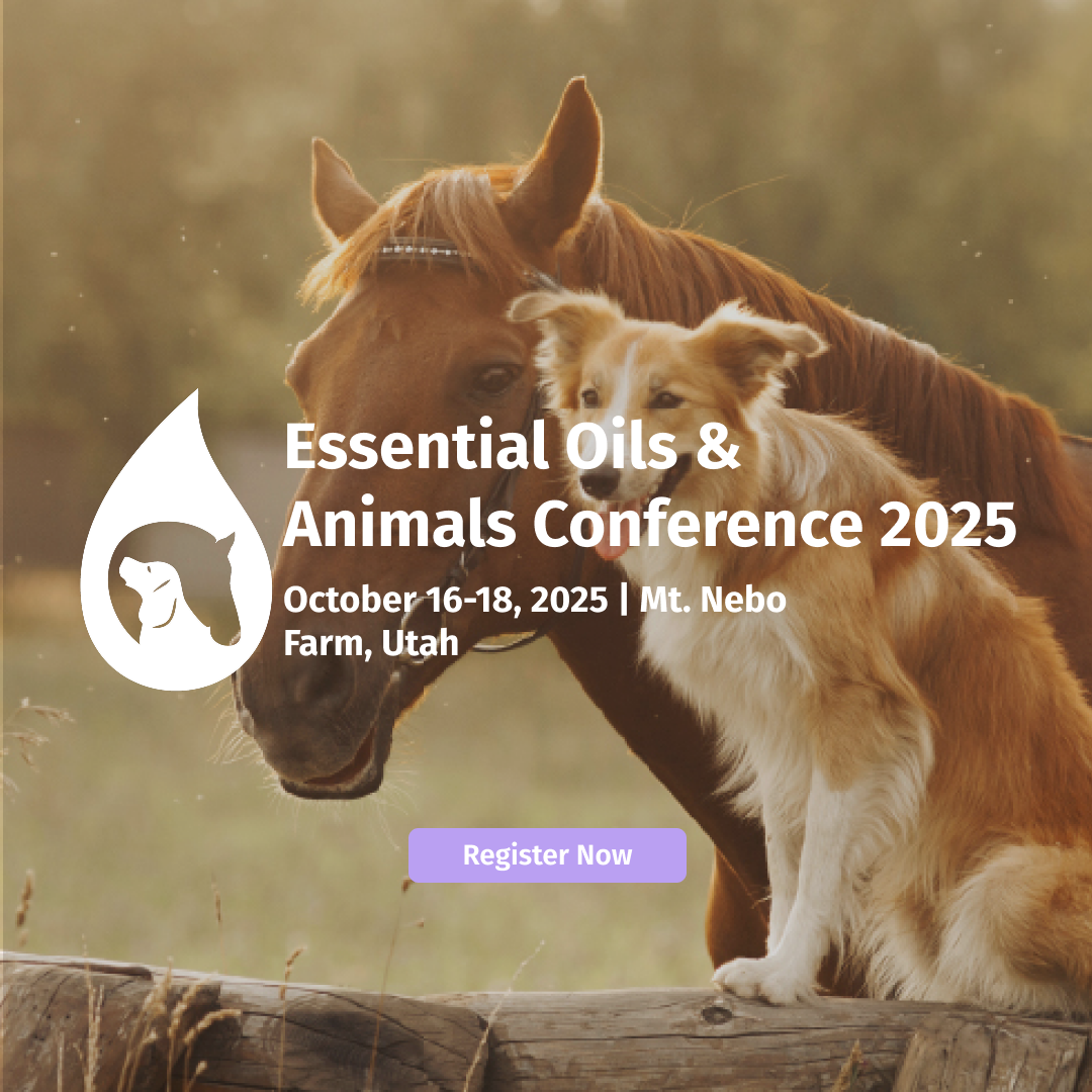 hero-events-animalconference-25