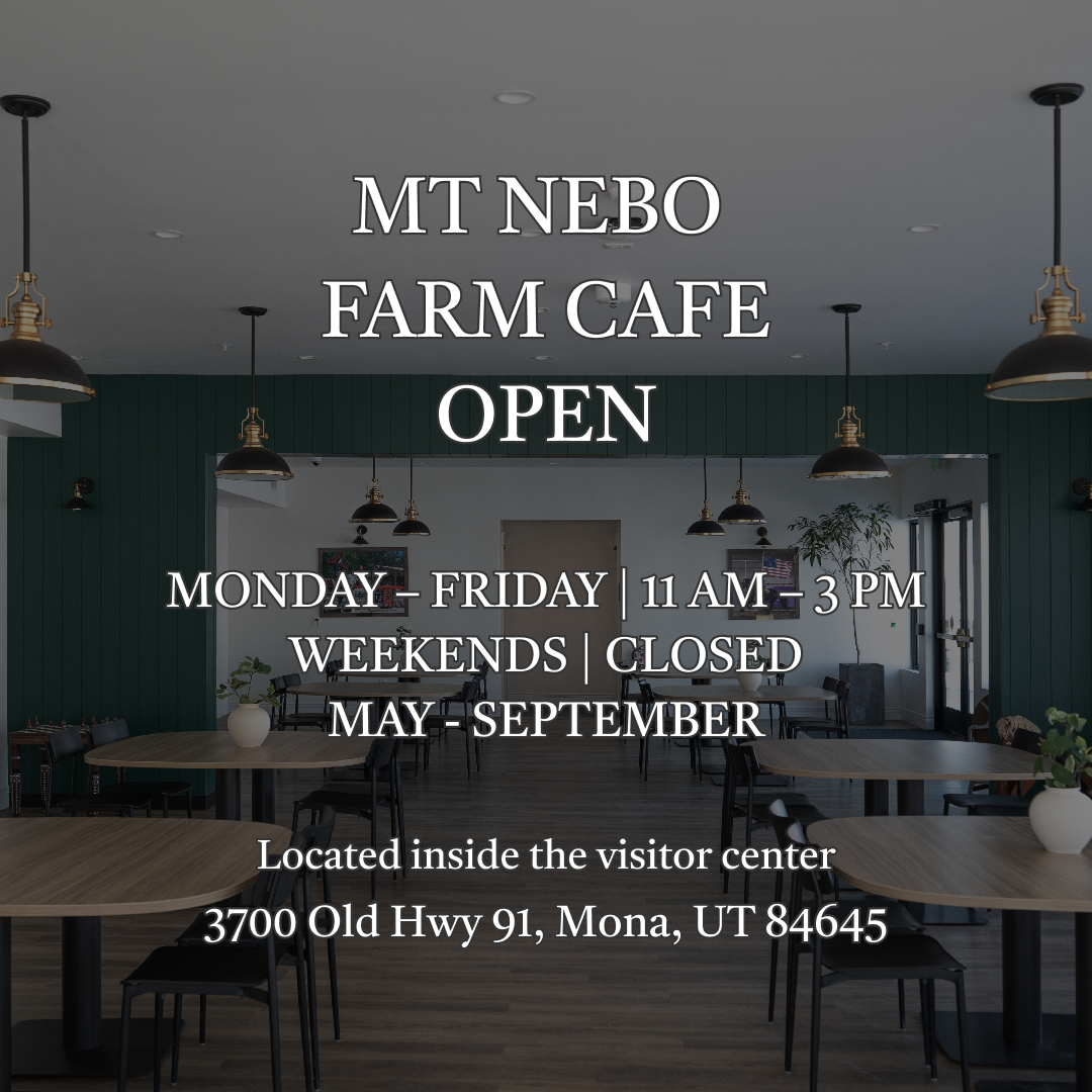 MtNeboCafe